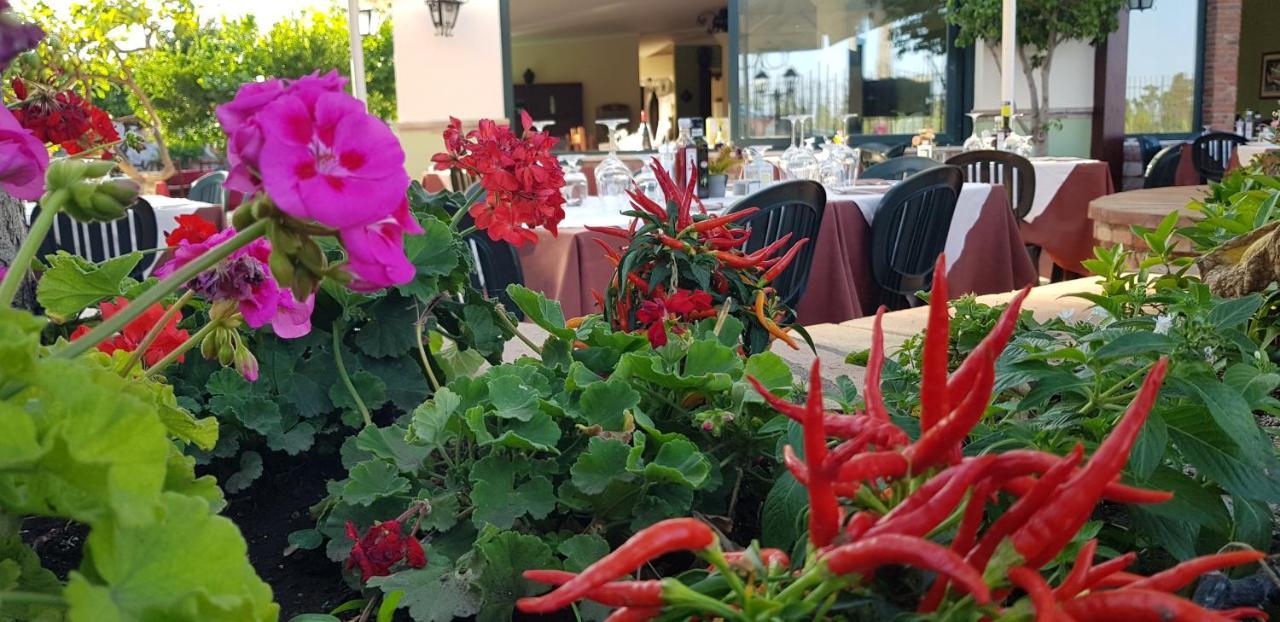 Villa Antonino Giardini Naxos Εξωτερικό φωτογραφία